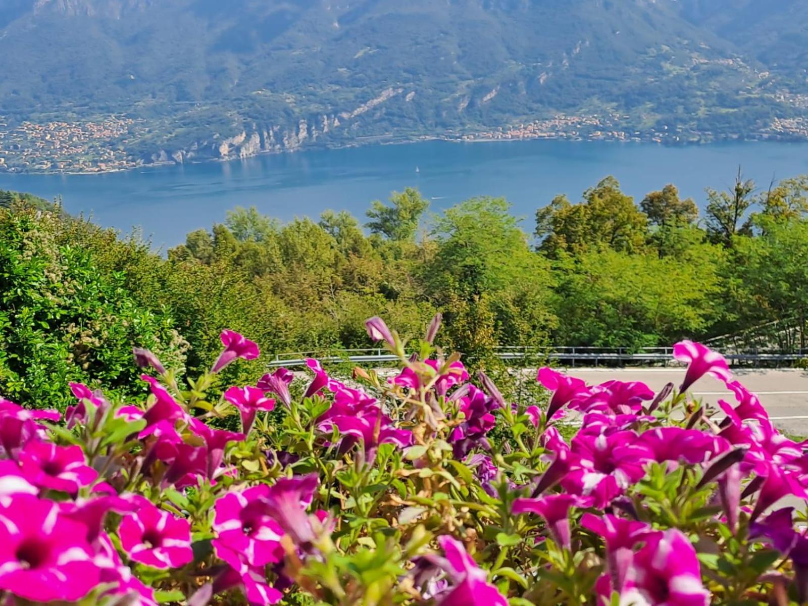 Bed & Breakfast Bellagio Luaran gambar